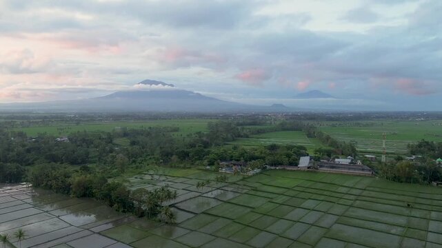 Aerial panoramic view of Kawi and Arjuno mountains peak over lush green rice fields in East Java.