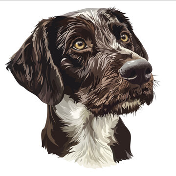 simple vector German Wirehaired Pointer clipart illustration white background vector art style simple design flat illustration no shadows