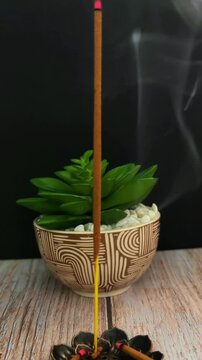 Incense Stick Burning with Smoke and Succulent Plant Zen Meditation Relaxation Wellness Aesthetic Black Background Minimal Calm Mindfulness Spa Aromatherapy Peaceful Ambient Loop Video
