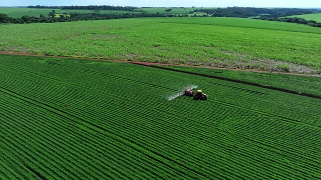 Aerial view of a tractor spraying green peanut crops next to a vast sugarcane plantation