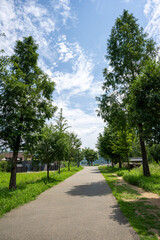 Fototapeta premium Paved park pathway and public restroom facility under a blue sky in South Korea