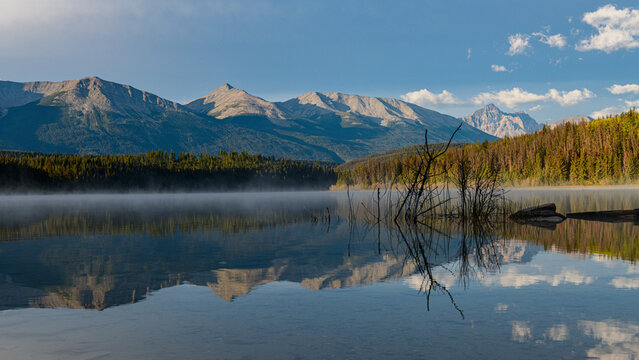 Silhouetted reeds against crystal-clear mountain reflection at Patricia Lake
