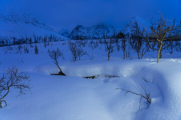 Deep snow and bare birch trees below mountains in blue polar night, Norway © FelixB