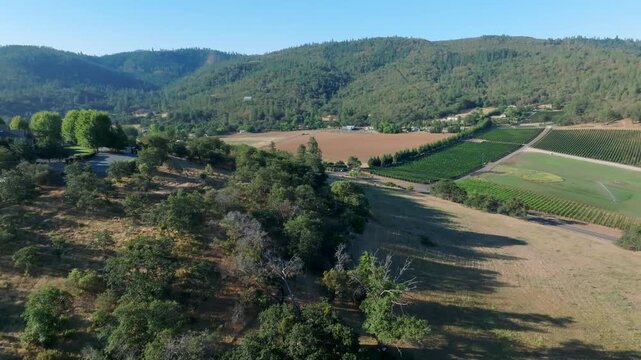 Cannabis Farm near Medford, OR - Drone
