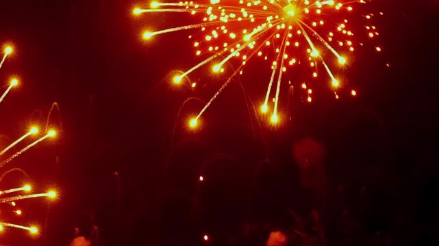 Vibrant fireworks explode in the dark night sky during a Fourth of July celebration in the City. See the brilliant bursts of light creating a beautiful display for all to enjoy.