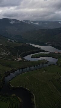 Aerial View of Douro Valley Vineyards and River Landscape Portugal 04