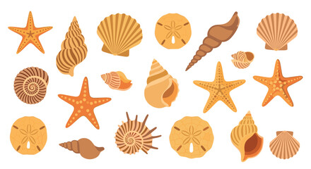 Fototapeta premium Twenty stylized orange and brown seashells, starfish, and sand dollars are scattered on a white background.