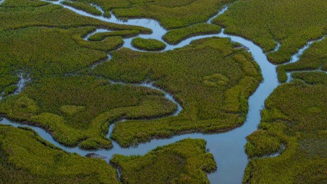 Aerial view of lowcountry landscapes near Charleston, South Carolina showcasing natural meandering waterways and marshlands
