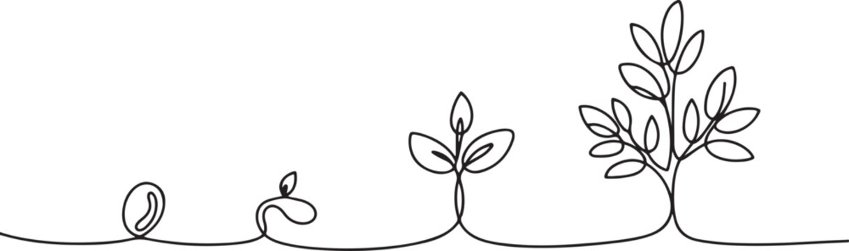 Minimalist continuous line art showing plant evolution stages. Drawing features seed sprout seedling and full leaf branches. 
