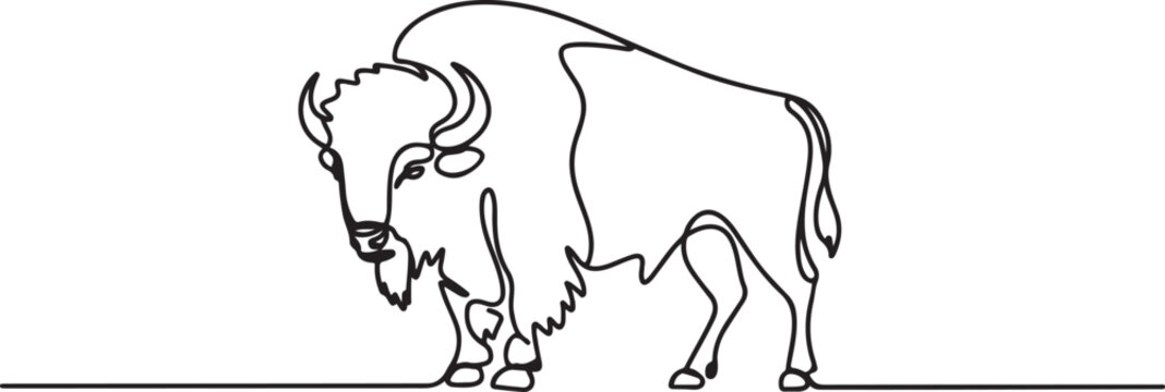 One single line drawing of elegance buffalo for conservation national park logo identity. Big strong bull mascot concept for rodeo show. One line draw graphic design vector