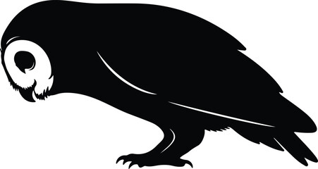 Silhouette elegant barn owl wild bird predator nature symbol vector design © Tamjida Alam