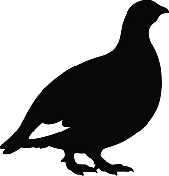 Silhouette detailed partridge grouse wild bird side profile vector design