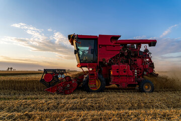 Obraz premium The combine is harvesting the wheat in the evening