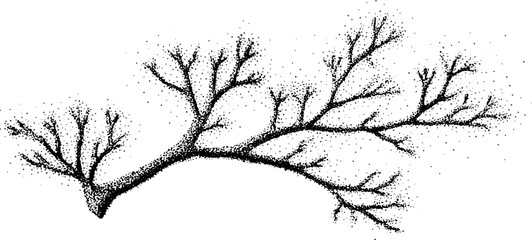 Obraz premium Black and white coral branch stippling design for vintage art projects