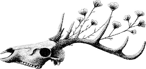 Fototapeta premium Nature and mortality: deer skull with blossoming antlers in black and white design