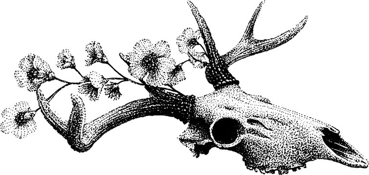 Nature and mortality: deer skull with blooming flowers in halftone design