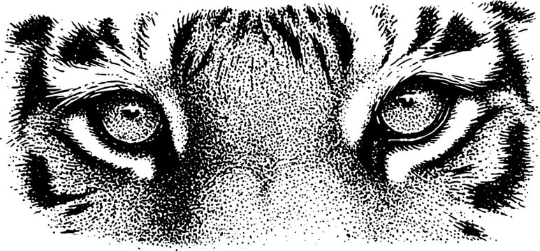 Geometric tiger head in black and white stippling technique for artistic design