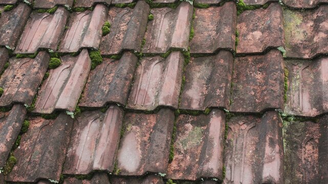 Old weathered roof tiles covered with green moss