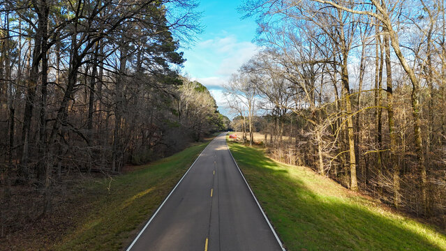 Empty natchez trace parkway, claiborne county, mississippi, winding through bare trees and a vibrant green roadside under a bright blue sky, extending into the distant horizon