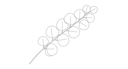 Detailed illustration of a eucalyptus branch. © Art Sof galery photo