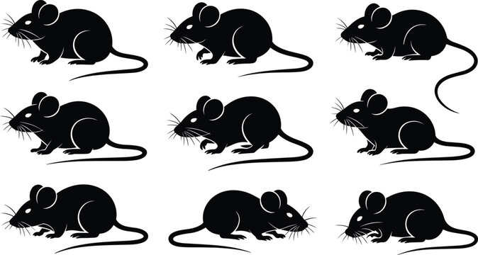 Mouse silhouette set, rat rodent vector collection, small rodent animal silhouettes isolated wildlife pest illustration pack