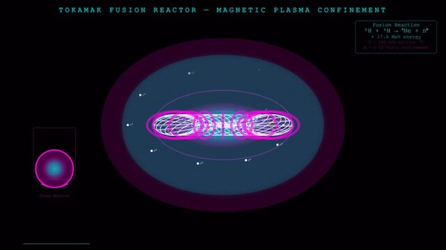 Tokamak