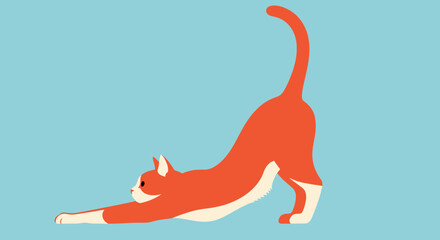 Orange cat in downward dog position. © Hani