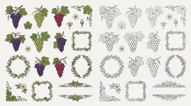 Collection of hand-drawn grape vine elements, including bunches of grapes, leaves, flowers, wreaths, and decorative borders in both color and outline styles.