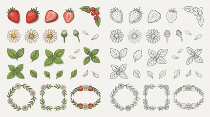 Collection of hand-drawn botanical illustrations featuring strawberries, flowers, and leaves, presented in both color and monochrome styles. © renender