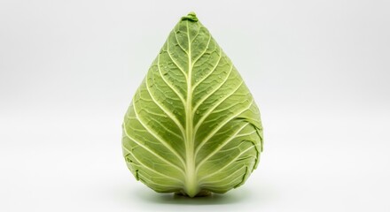 Obraz premium Fresh Green Cabbage Head Isolated on White Background