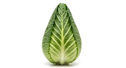 Fresh Green Savoy Cabbage Head Isolated on White Background, Healthy Food Ingredient