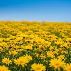 Obraz premium Golden Meadow: A Sun-Drenched Bloom