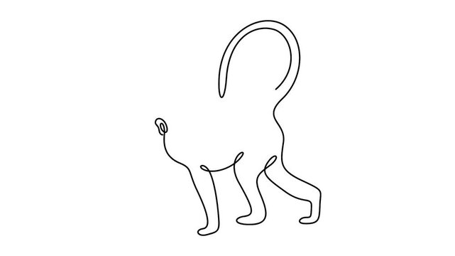 Self animated continuous line art illustration of a monkey