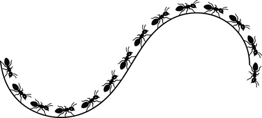 Ant trail silhouette path, black ants marching along curved line isolated on white background, vector illustration insect colony movement concept © Ariyan