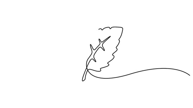 Self animated continuous line drawing illustration of a mint leaf
