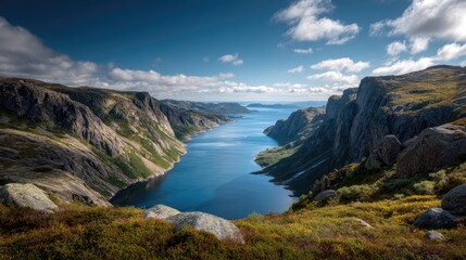 Obraz premium Scandinavian fjords with fjord bay between cliffs alpine tundra vegetation bright scandinavian summer