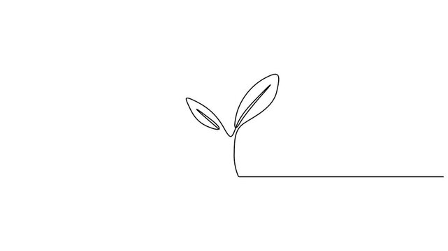 Self animated minimalist continuous line drawing of a growing plant sprout vector illustration