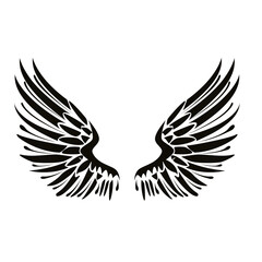 Fototapeta premium Black eagle wings isolated on transparent background