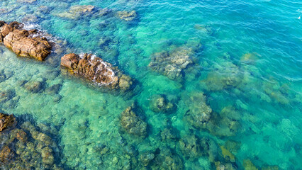 Obraz premium crystal clear turquoise sea water with rocky bottom. Natural marine background, clean ocean texture, and tropical nautical environment concept.