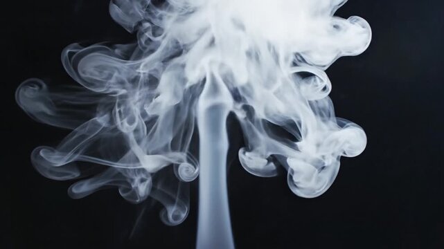White smoke vapor swirl abstract black background texture motion cloud mysterious atmospheric floating soft pattern artistic flowing dramatic isolated shape design smooth elegant wispy ethereal mist
