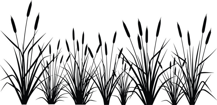 Black silhouettes of cattail plants Typha with long slender leaves and cylindrical flower spikes, botanical vector illustration for ecology, wetlands, nature, environment, and design concepts