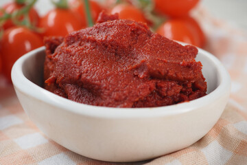 Tomato paste in a white bowl with fresh tomatoes nearby