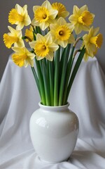 Fototapeta premium Bright yellow daffodils bloom in a white ceramic vase on draped