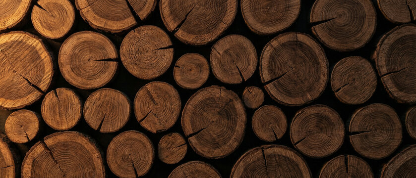 Stacked wooden logs cross section texture background.