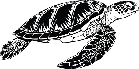 A detailed black and white line art illustration of a sea turtle swimming in a graceful motion © S M Sajib