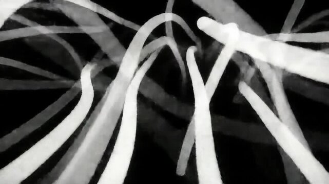 Abstract monochrome image of white, brush-like strokes against a deep black background. The lines weave and overlap