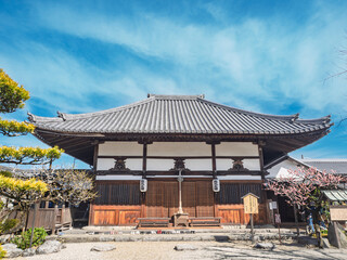 Fototapeta premium 万葉の祈りを包む、飛鳥寺の春景色