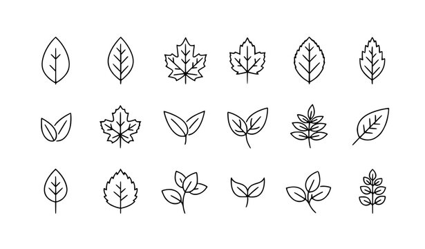 Thin line leaf icon set with editable stroke minimal botanical symbols for shops banners and eco design