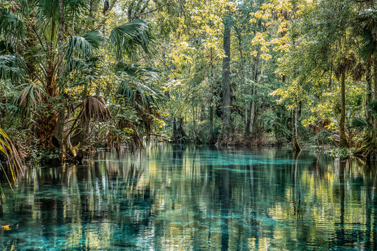 Clear water mirrors trees and sky