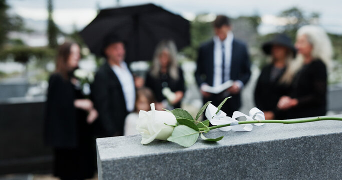 People, tombstone and rose in cemetery with funeral, remembrance and burial ceremony for final goodbye. Gravestone, flower and family in graveyard outdoor with memorial service, mourning and grief.